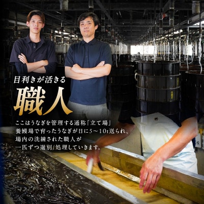 【期間限定】【訳あり】鹿児島県大隅産うなぎ蒲焼有頭 3尾セット(計310g)KN007-002-07