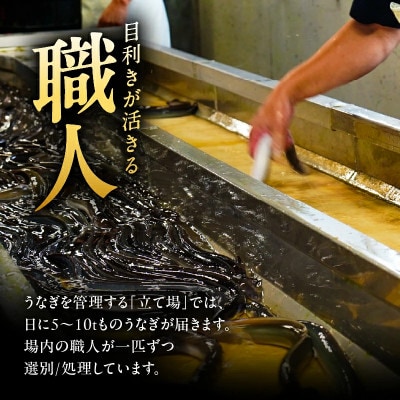 【期間限定】【訳あり】鹿児島県大隅産うなぎ蒲焼有頭 3尾セット(計310g)KN007-002-07
