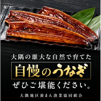 【数量限定】【期間限定】鹿児島県大隅産うなぎ蒲焼4尾(計400g)