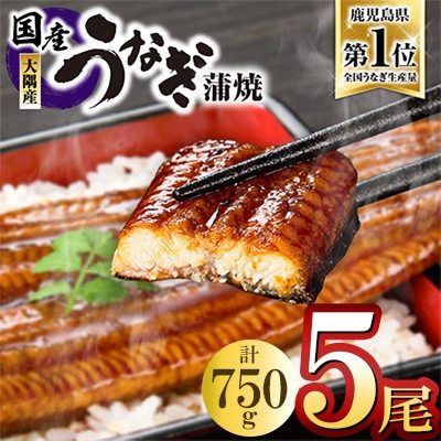 鹿児島県大隅産うなぎ蒲焼5尾(750g) KN007-005-01