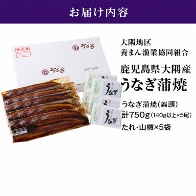 鹿児島県大隅産うなぎ蒲焼5尾(750g) KN007-005-01