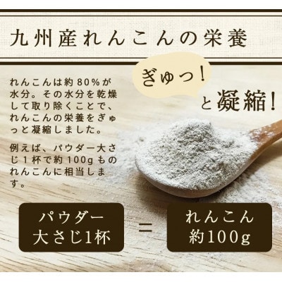鹿屋満足 れんこんパウダー 3パックセット 1036