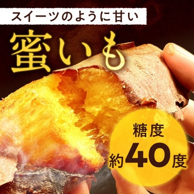 紅はるか冷凍焼き芋　約1kg【さつまいもスイーツ】