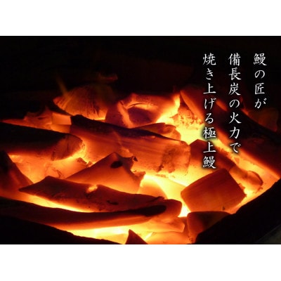 九州産　備長炭手焼　うなぎ蒲焼　3尾(660g)1745