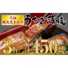 うなぎ問屋の厳選!備長炭手焼　うなぎ蒲焼3尾(450g) 1773-1 | ふるさと納税のお礼品