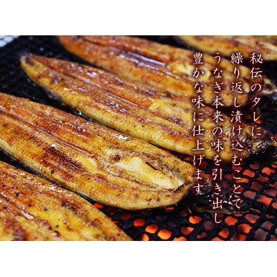 うなぎ問屋の厳選!　備長炭手焼うなぎ無頭蒲焼き　4尾(600g)