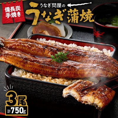 うなぎ問屋の備長炭手焼き うなぎ蒲焼 3尾(750g) KN029-001-06 2740