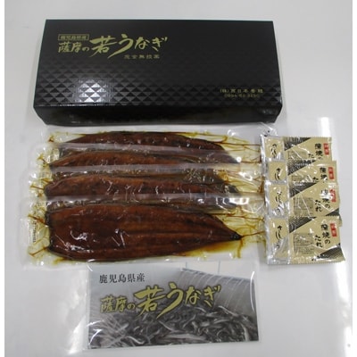 【2022年10月中旬発送】鹿児島県産 うなぎ蒲焼き 4尾セット