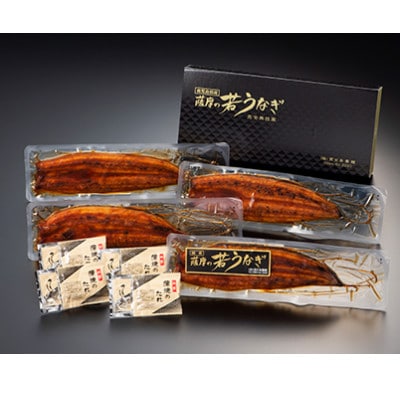 鹿児島県産 うなぎ蒲焼き 4尾セット 1652-1 | 鹿児島県鹿屋市