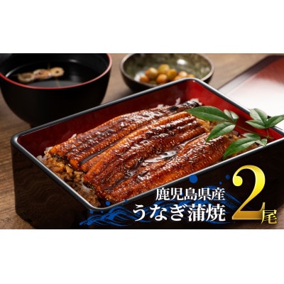 鹿児島県産うなぎ蒲焼き2尾　1654-1