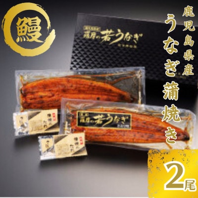 鹿児島県産うなぎ蒲焼き2尾　1654-1