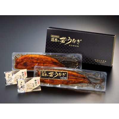 鹿児島県産うなぎ蒲焼き2尾　1654-1