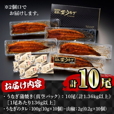 鹿児島県産　うなぎ蒲焼　10尾 2125