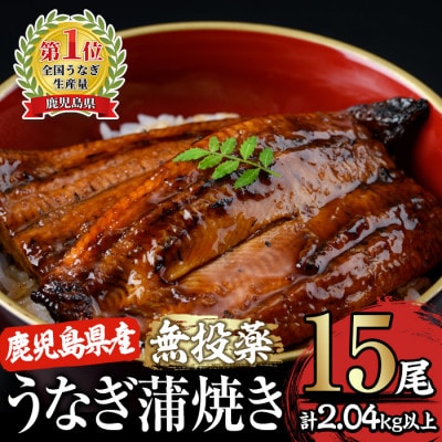 鹿児島県産　うなぎ蒲焼　15尾 2123