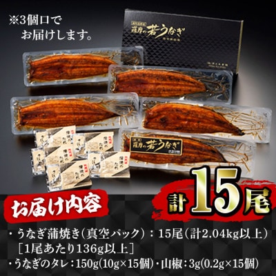 鹿児島県産　うなぎ蒲焼　15尾 2123
