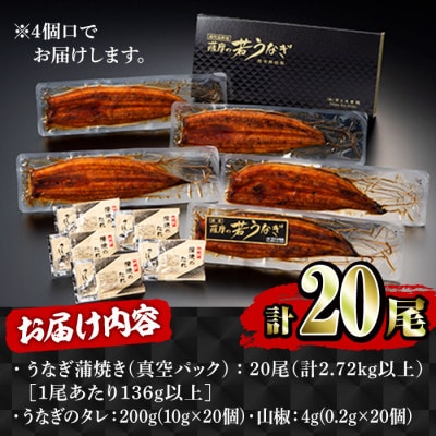 鹿児島県産 うなぎ蒲焼き 20尾セット 2122