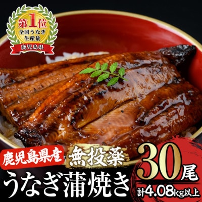 鹿児島県産 うなぎ蒲焼き 30尾セット 2121