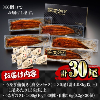 鹿児島県産 うなぎ蒲焼き 30尾セット 2121
