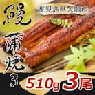 大隅特産うなぎ蒲焼3尾(510g)1387