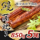 大隅特産うなぎ蒲焼5尾(850g)1389
