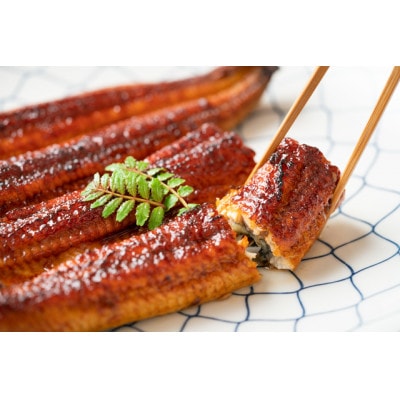 大隅特産うなぎ蒲焼2尾(340g)1386