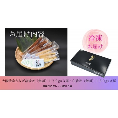 大隅特産うなぎ蒲焼3尾(170g×3尾)・白焼2尾(120g×2尾)食べ比べセット 1879