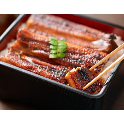 【発送月固定定期便】大隅特産うなぎ蒲焼 3尾(510g) 2182 全4回