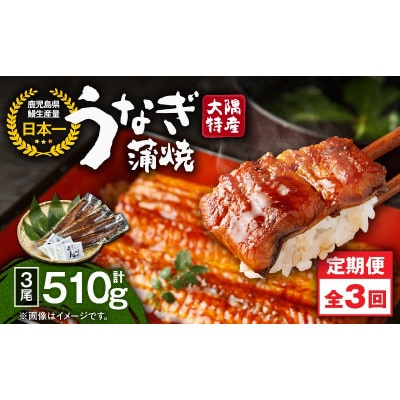 【発送月固定定期便】大隅特産うなぎ蒲焼3尾(510g)【国産】2482全3回