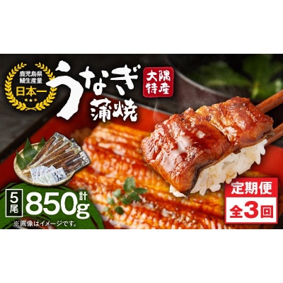 【発送月固定定期便】大隅特産うなぎ蒲焼5尾(850g)【国産】2488全3回