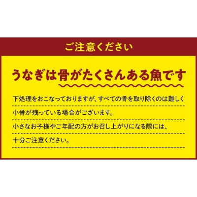 【発送月固定定期便】大隅特産うなぎ蒲焼2尾(340g)【国産】2479全3回