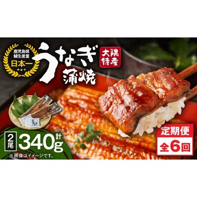 【発送月固定定期便】大隅特産うなぎ蒲焼2尾(340g)【国産】2480全6回
