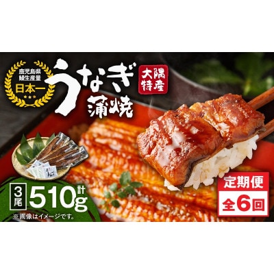 【発送月固定定期便】大隅特産うなぎ蒲焼3尾(510g)【国産】2483全6回