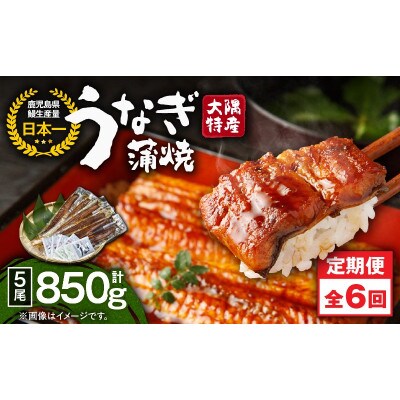 【発送月固定定期便】大隅特産うなぎ蒲焼5尾(850g)【国産】2489全6回