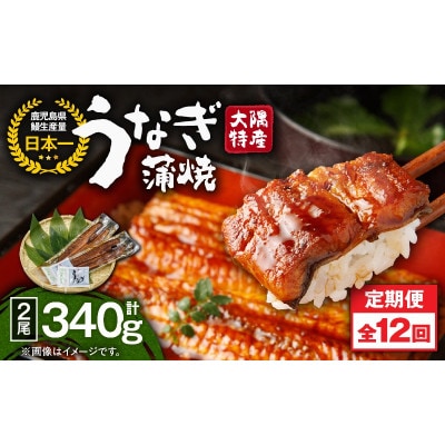 【毎月定期便】大隅特産うなぎ蒲焼2尾(340g)【国産】2481全12回