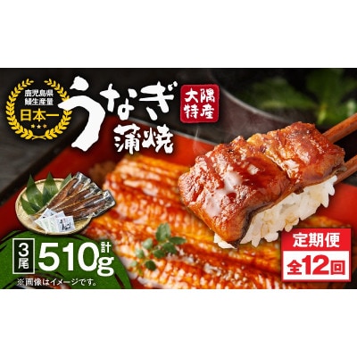 【毎月定期便】大隅特産うなぎ蒲焼3尾(510g)【国産】2484全12回