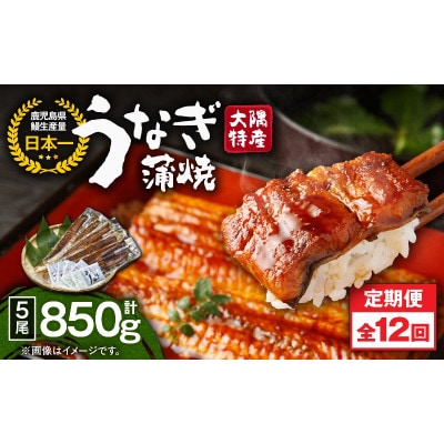 【毎月定期便】大隅特産うなぎ蒲焼5尾(850g)【国産】2490全12回