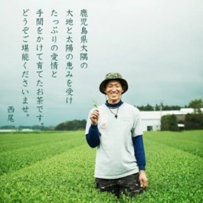 かのや深蒸し煎茶　1kg(100g×10袋)、茶筒×2個　169-1