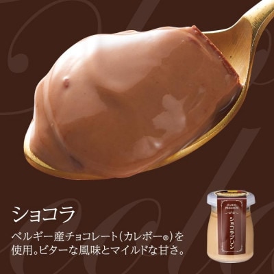 とろふわ!こだわり素材のプレミアムプリン6種6個　2495(鹿屋市)