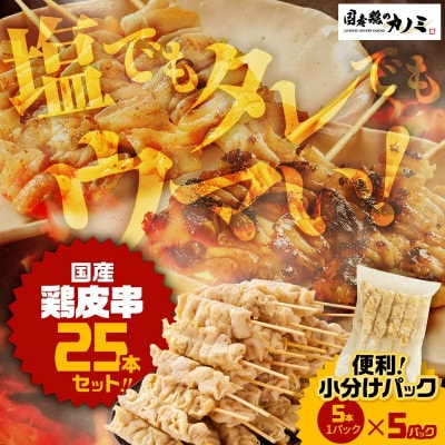 とり皮串25本セット(5本×5パック)