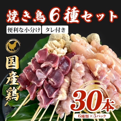 鶏串30本(6種×5パック)セット