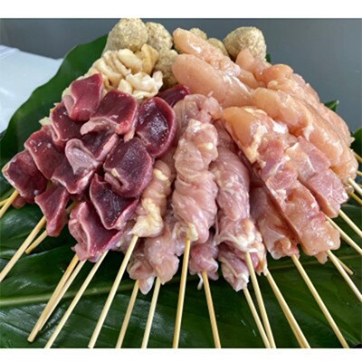 【毎月定期便】鶏串54本セット(6種×9パック) 2419 全6回
