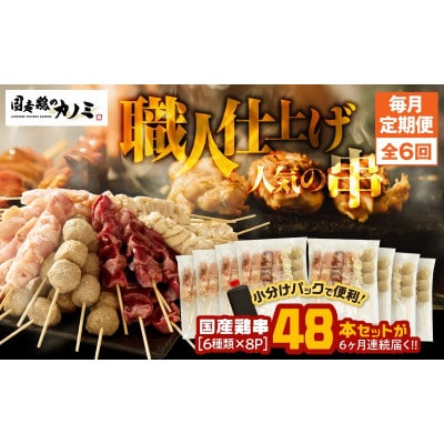 【毎月定期便】国産 鶏串48本セット(6種×8パック)全6回