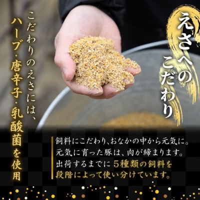 鹿児島県 鹿屋産 さかし豚 4種+ミンチ 計4.55kg 真空包装 小分け 2296-1