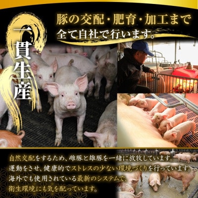 【訳あり】鹿児島県 鹿屋産 さかし豚 ヒレ 約2.5kg 真空包装 小分け 2509