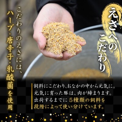 楽天市場】【北海道産食材】鹿肉/エゾシカ肉/シカ肉 超大容量