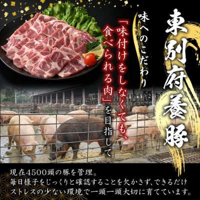 鹿児島県 鹿屋産 さかし豚 バラ スライス 1.4kg  真空 小分け 2043
