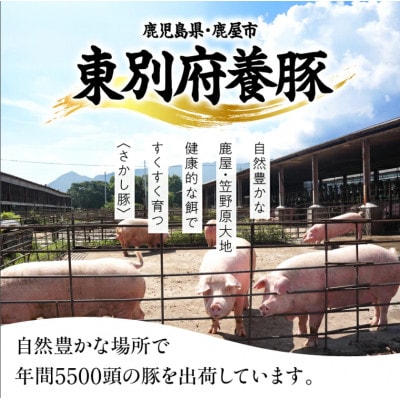 鹿児島県 鹿屋産 さかし豚 バラ スライス 1.4kg  真空 小分け 2043