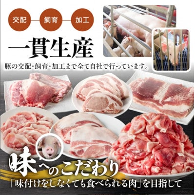 鹿児島県 鹿屋産 さかし豚 3種盛 A 3.3kg 真空包装 小分け 2163