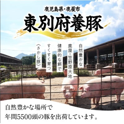 【毎月定期便】鹿児島県 鹿屋産 さかし豚 モモ スライス 3kg盛 真空包装 小分け全3回