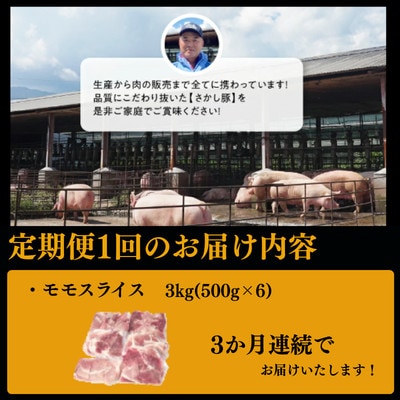 【毎月定期便】鹿児島県 鹿屋産 さかし豚 モモ スライス 3kg盛 真空包装 小分け全3回